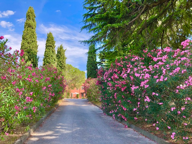 Definitely Soul Villa La Bagatta Lazise Gardasee